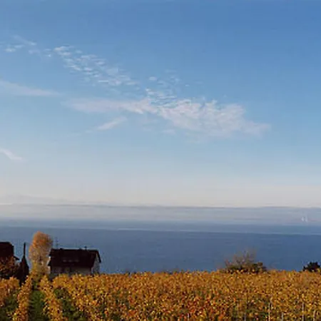 דירה Abc Abc C מיירסבורג