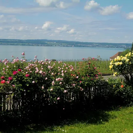 Abc Abc C דירה *